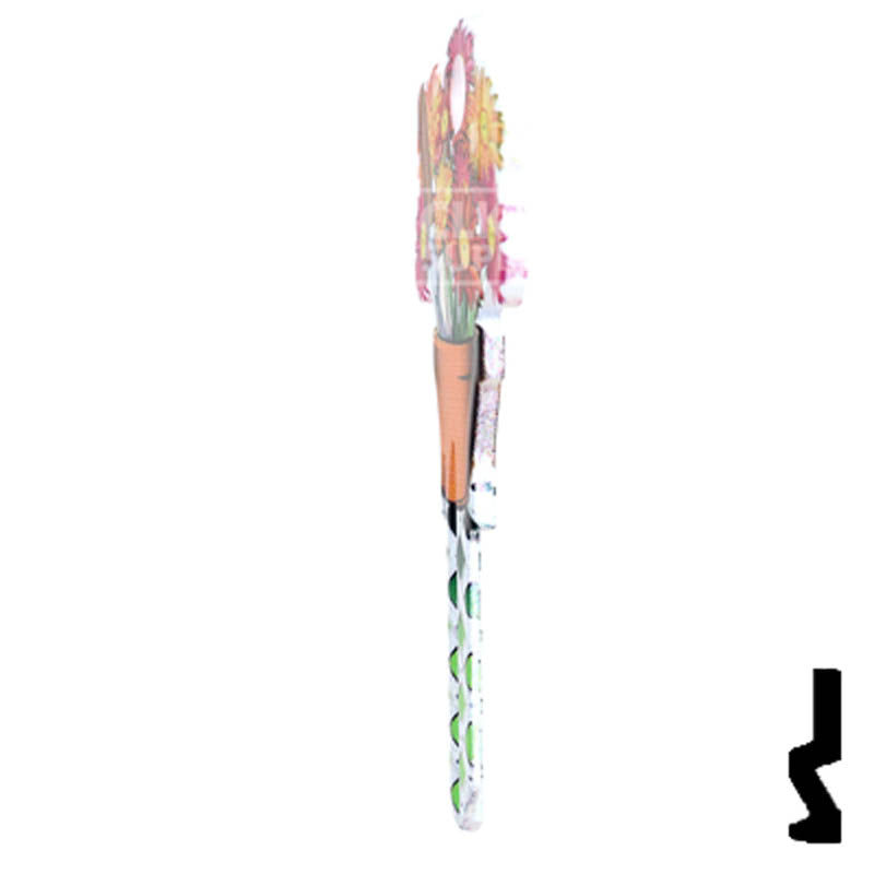 Key Shapes -Gardening- Schlage SC1 Key Residential-Commercial Key Lucky Line
