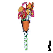 Key Shapes -Gardening- Schlage SC1 Key Residential-Commercial Key Lucky Line
