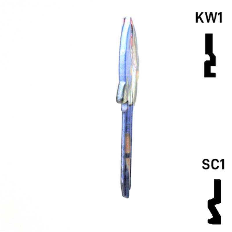 Krafty Keys: Fishing - Choose Keyway (SC1,KW1,10,WR5) Residential-Commercial Key Hudson-ESP-HPC