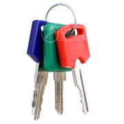 FIC Master/Change Key Set RV-Motorhome Key Framon