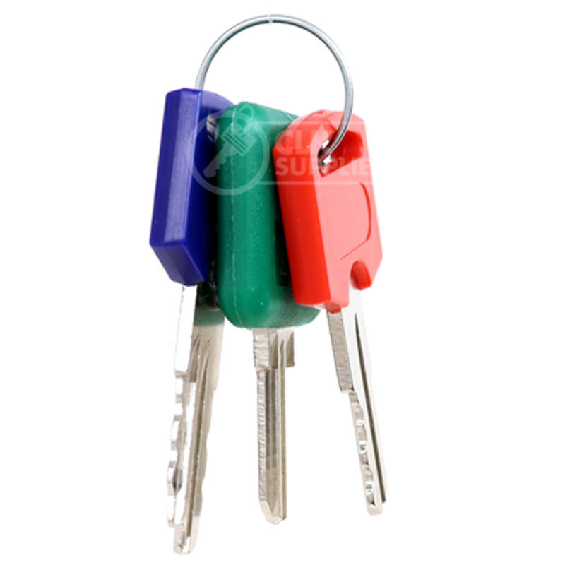 FIC Master/Change Key Set RV-Motorhome Key Framon