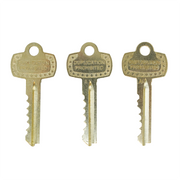 SFIC Construction Core | 7 Pin Red | Includes 1 Control, 2 Operating Keys SFIC Core GMS Industries