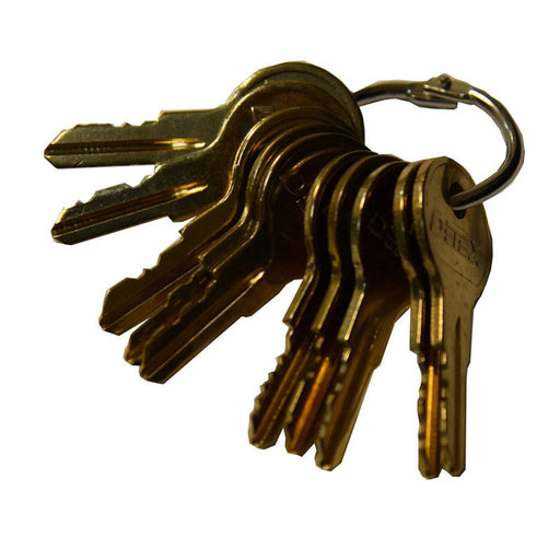 Detex Cover Lock Key Set for ECL & EAX Exit Devices (DT011-DT020) Tryout Keys Detex