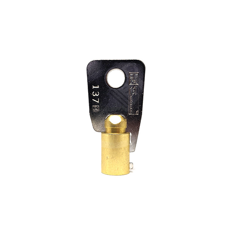 137B , 1137B Ace Tubular Key 50pk Flat Steel-Bit-Tubular-Key Hudson-ESP-HPC