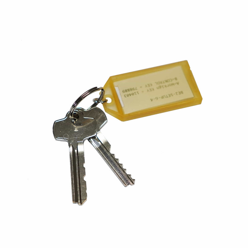 SFIC A2 6 Pin Setup Keys with Pinning Chart Key Blanks CLK